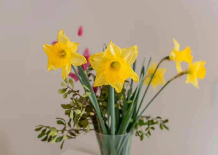 Apartament Casa Sole